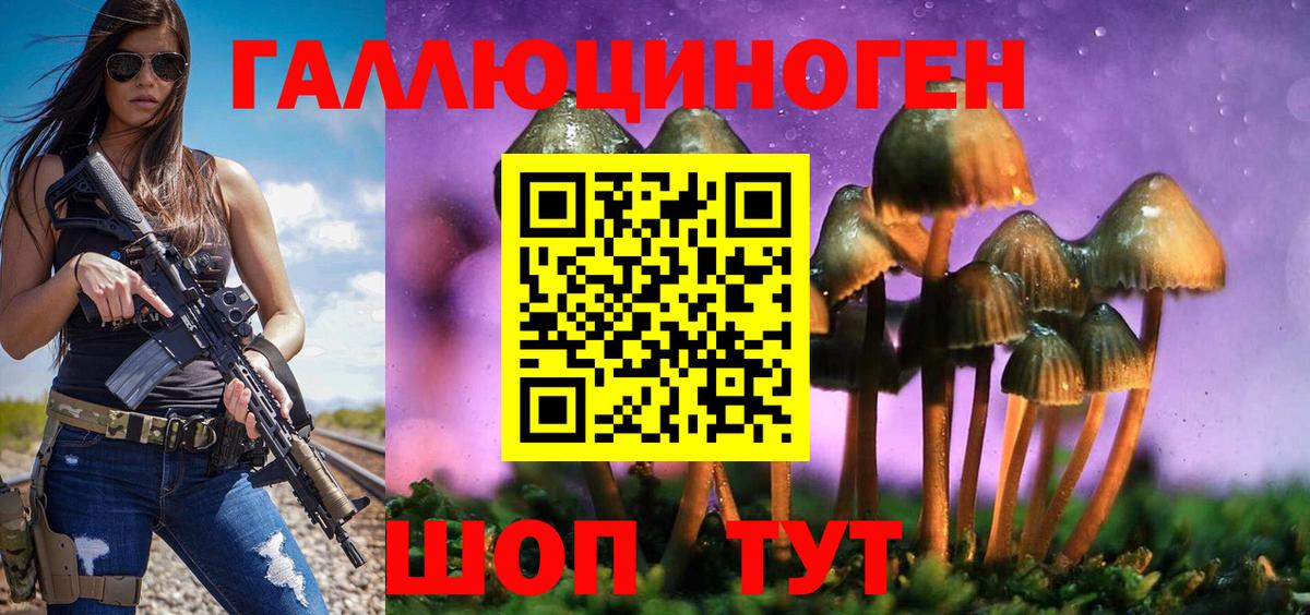 Псилоцибиновые грибы Cubensis Бугуруслан