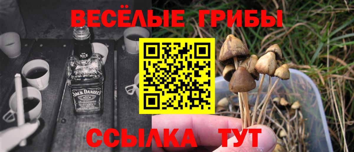 Псилоцибиновые грибы Magic Shrooms  Вход с VPN  Бугуруслан 